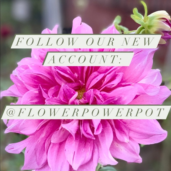 Please follow our new account! @FlowerPowerPot - Picture 1 of 1